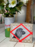 Freestanding Photo Frame - Stars / Neon Orange Ribbon