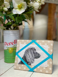Freestanding Photo Frame - Stars / Turquoise Ribbon